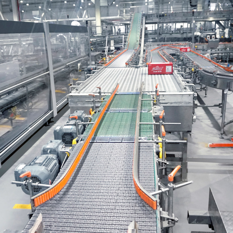 智能网链分箱机TY-WLFX-00